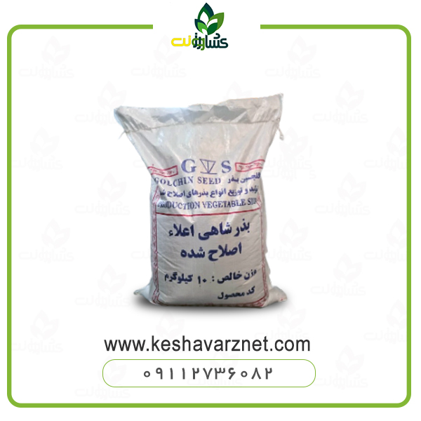 بذر شاهی و روش کاشت شاهی بذر شاهی و روش کاشت شاهی