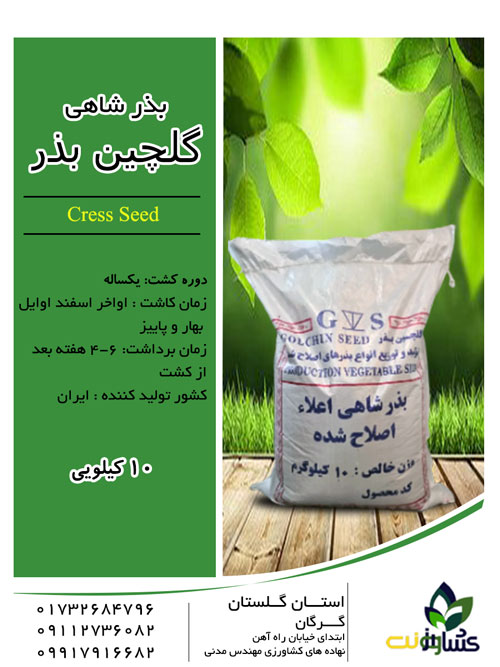 بذر شاهی و روش کاشت شاهی بذر شاهی و روش کاشت شاهی