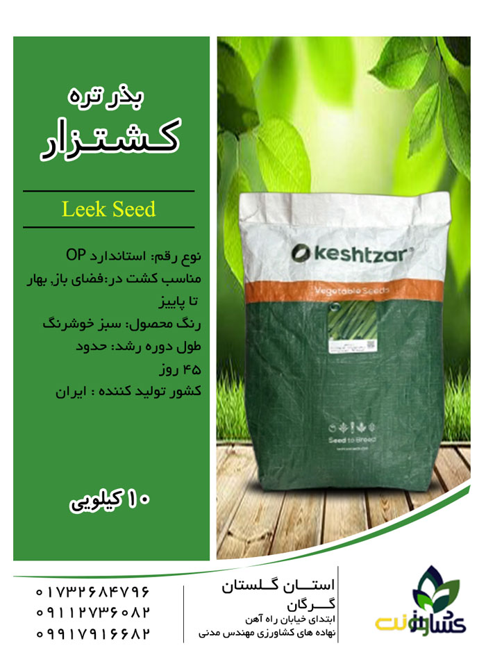 بذر تره و روش کاشت تره