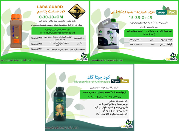 برنامه غذایی کاهو