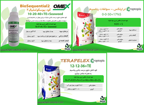 برنامه غذایی کاهو