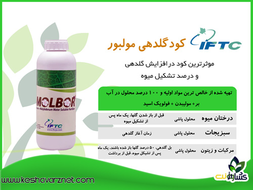 کود گلدهی مولبور