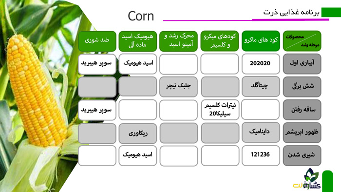 برنامه تغذیه ذرت