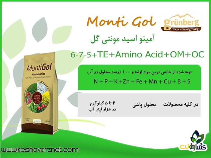 آمینواسید-مونتی-گل