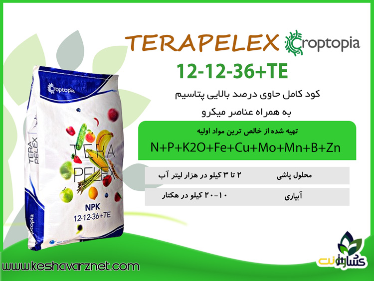 کود 121236 تراپلکس