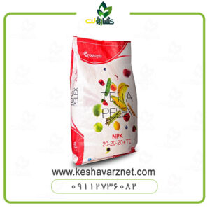 کود 202020 تراپلکس