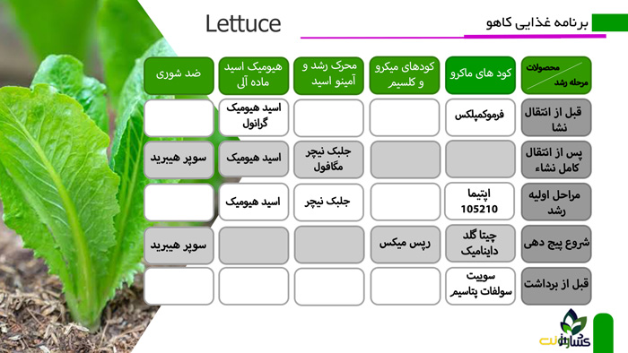 برنامه غذایی کاهو