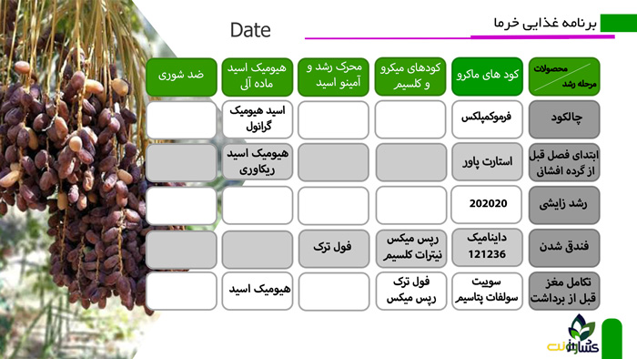 برنامه کامل تغذیه خرما