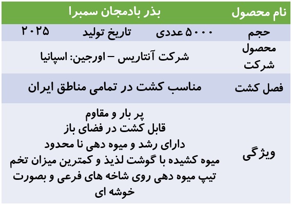 بذر بادمجان پر محصول سمبرا