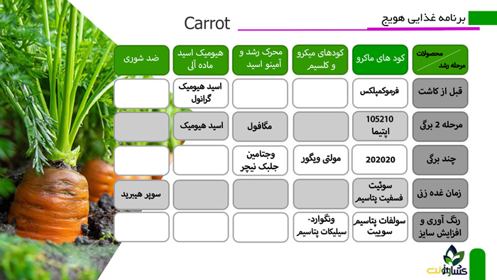 برنامه تغذیه هویج