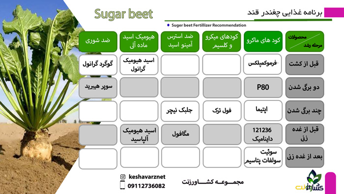 برنامه کودی چغندرقند
