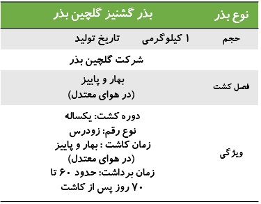بذر گشنیز گلچین بذر